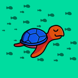 Toddler Turtle #529