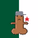 8050