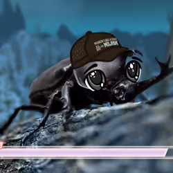 miBEETLE #54