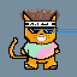 Clout Cats NFT #343