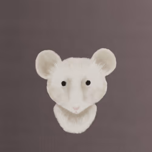 Item #71 Media