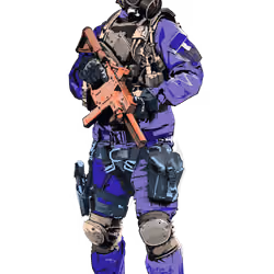 243