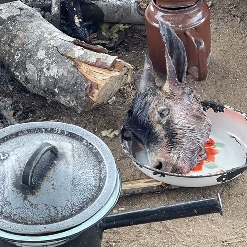 Dead Goat