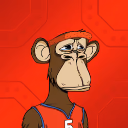 Boring Ape Baller # 204