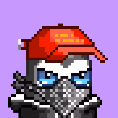 Birbs Friend