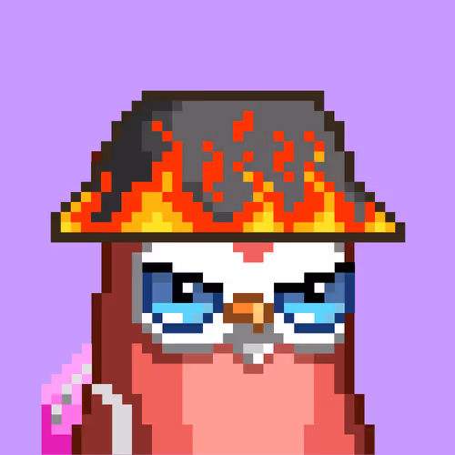 Birbs Friend