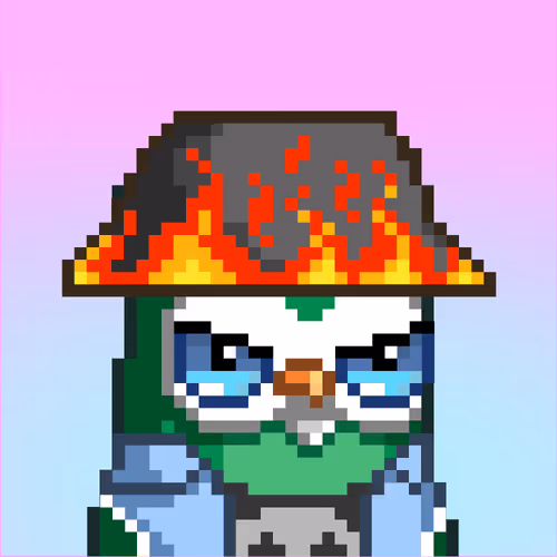 Birbs Friend