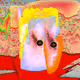 529