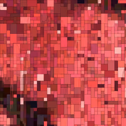 255