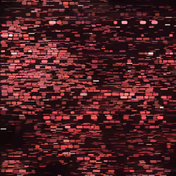 247