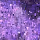 479