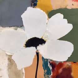 Fragments of Growth #554