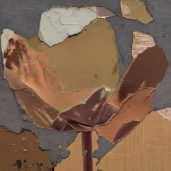 Item Media