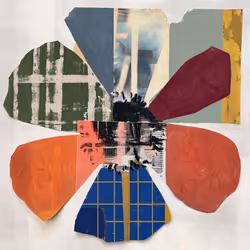 Fragments of Growth #562