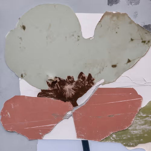 Fragments of Growth #377