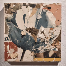 Fragments of Growth #1373