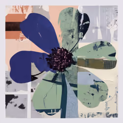 Fragments of Growth #1072