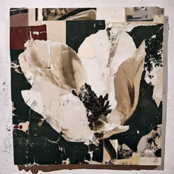 Fragments of Growth #899