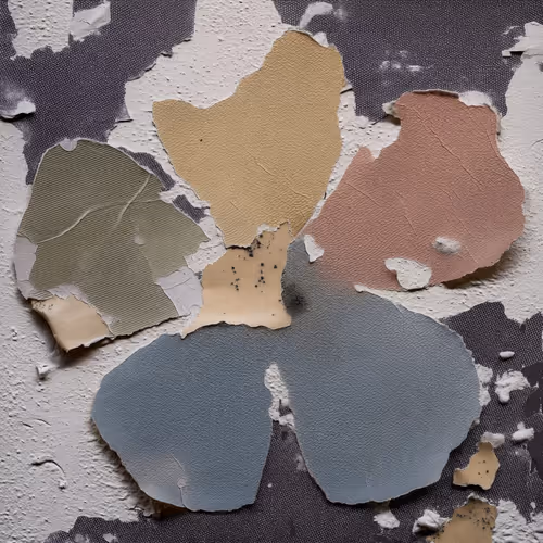 Fragments of Growth #1005