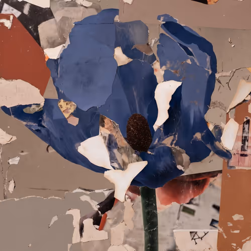 Fragments of Growth #874