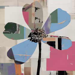 Fragments of Growth #1227