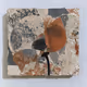 Fragments of Growth #243
