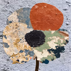 Fragments of Growth #793