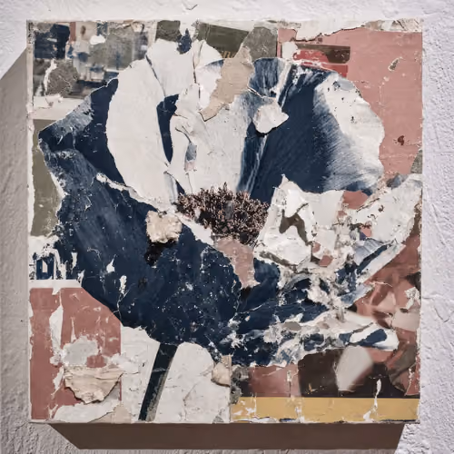 Fragments of Growth #644