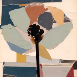 Fragments of Growth #903