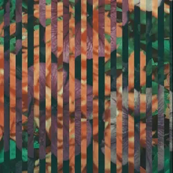 89