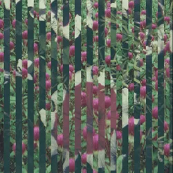 71