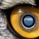 343