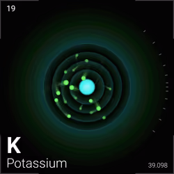#5543 Potassium