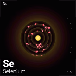 #1158 Selenium