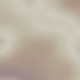 243