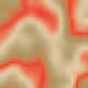 81