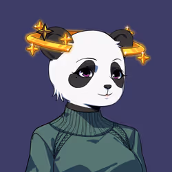 5107