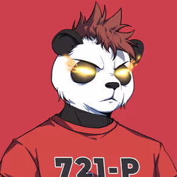 816