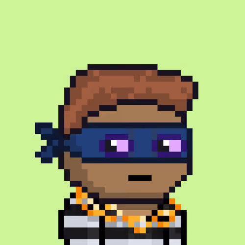 pixel robbers #1006