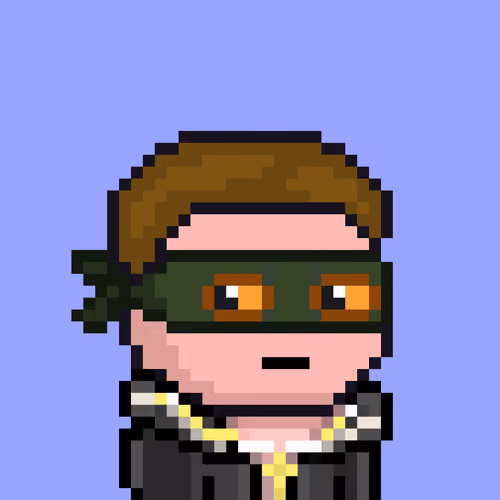 pixel robbers #429