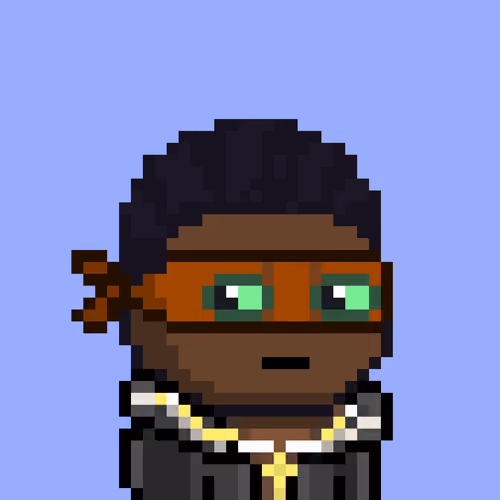 pixel robbers #1050