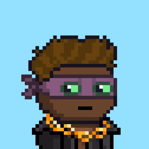 pixel robbers #428