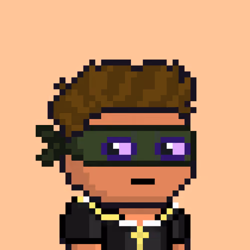 pixel robbers #903