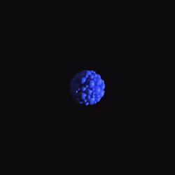 Blue Lydie Cluster