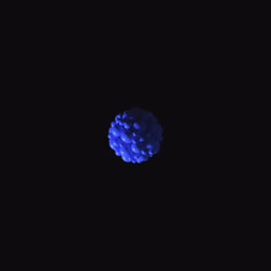 Blue Andymiun Cluster