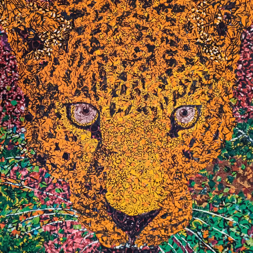 Leopard