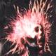 Introspections V4
