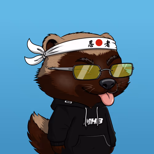 Megahoneybadgers