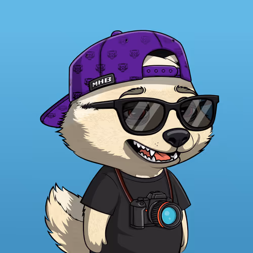 Megahoneybadgers