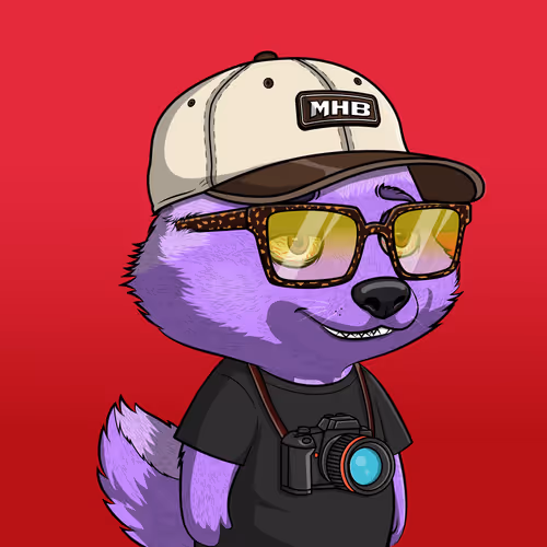 Megahoneybadgers